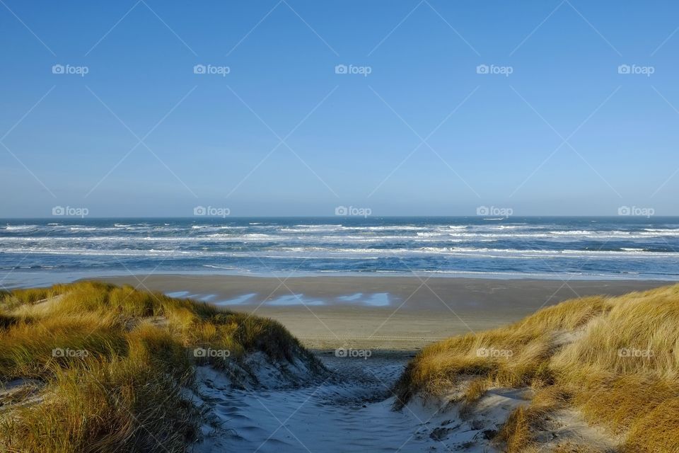 Texel the Netherlands