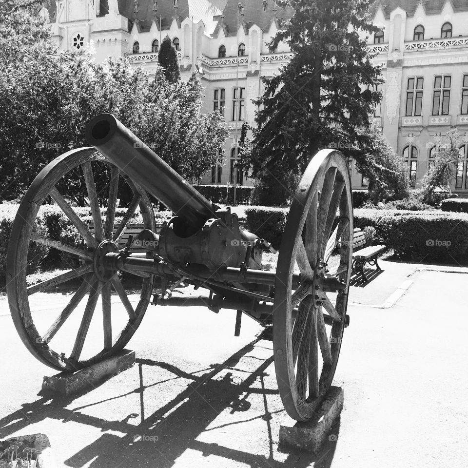 Black and White cannon 