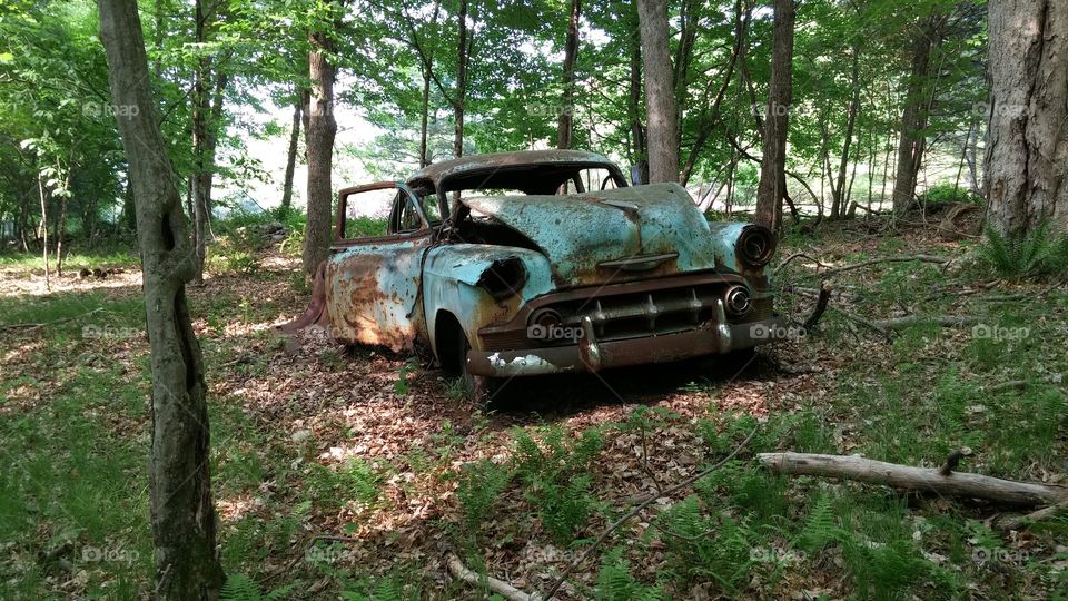 Old Car in the Woods 2