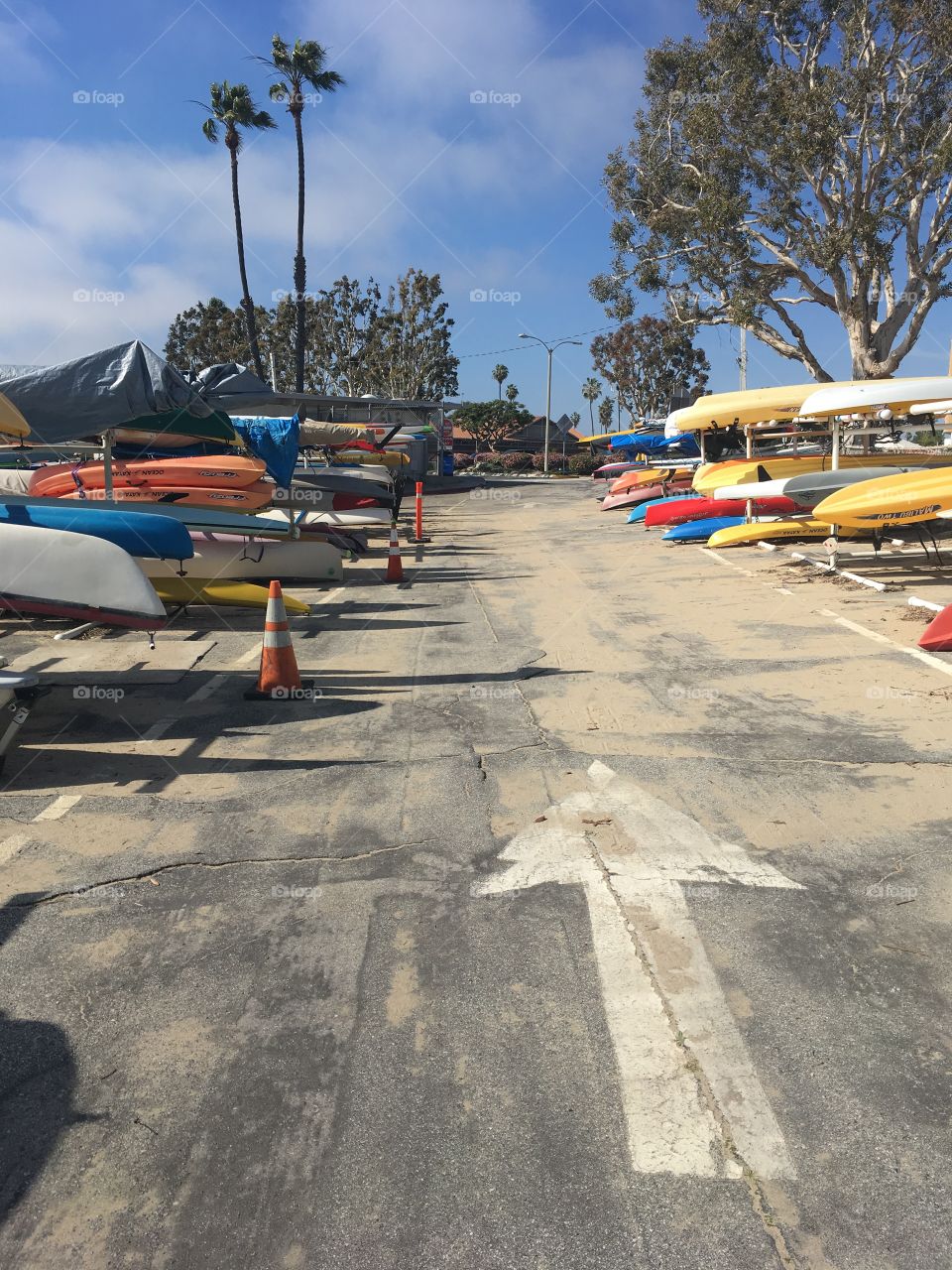 Canoes lined up in California 