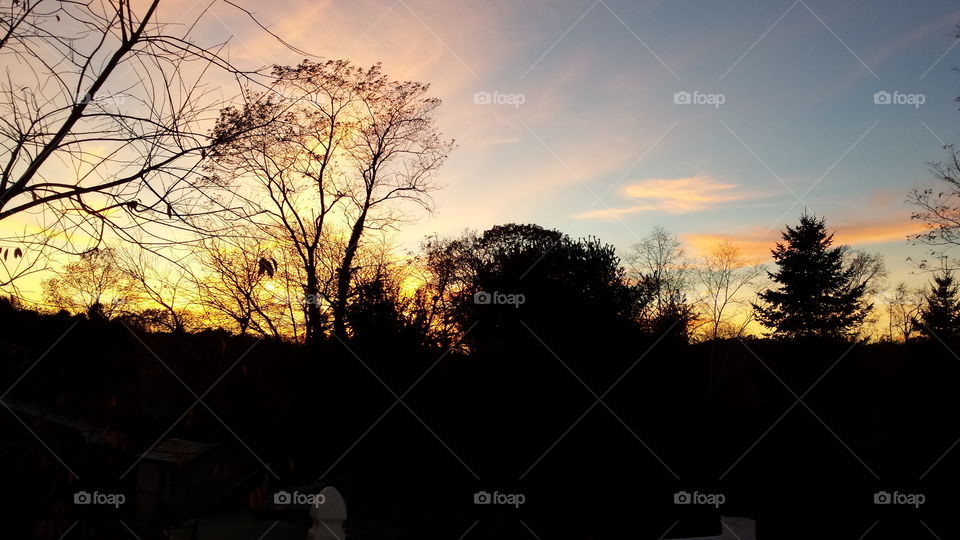 Landscape, Tree, Dawn, Sunset, Fall