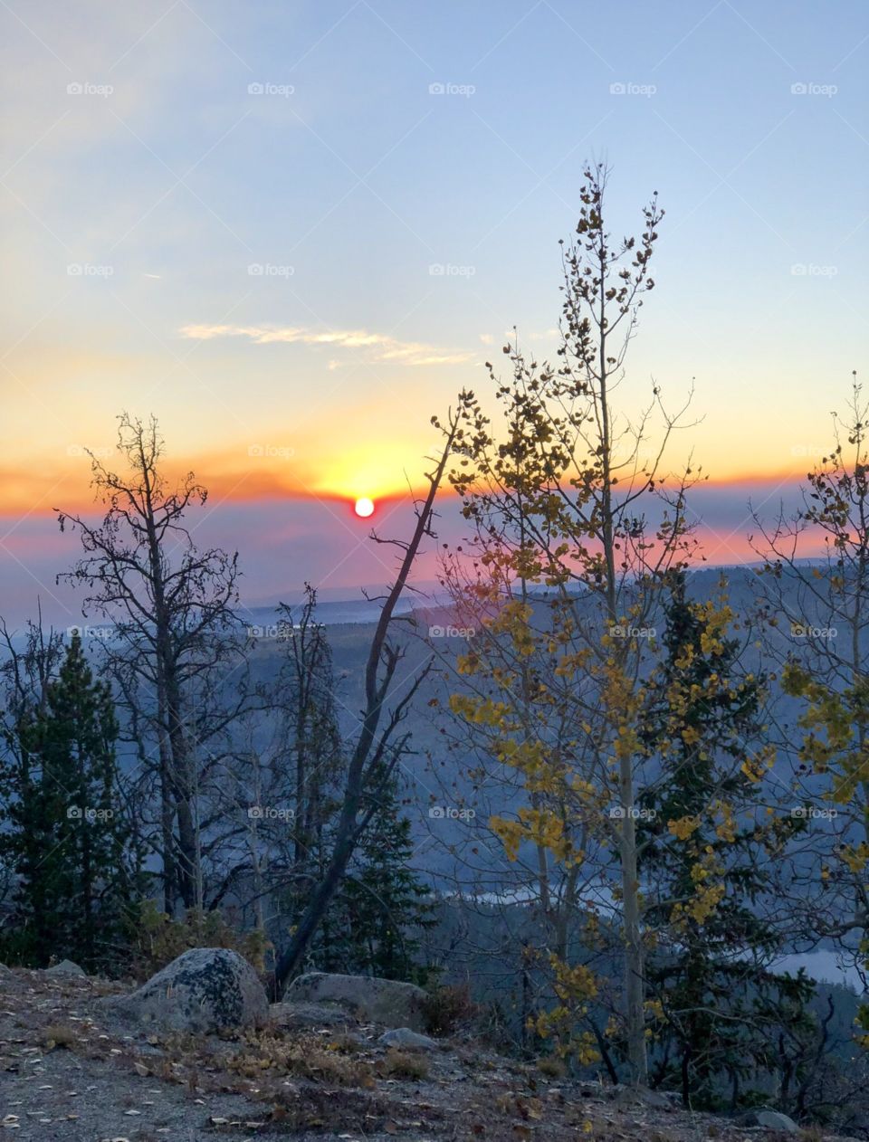 Beautiful Wyoming sunset shining through the trees