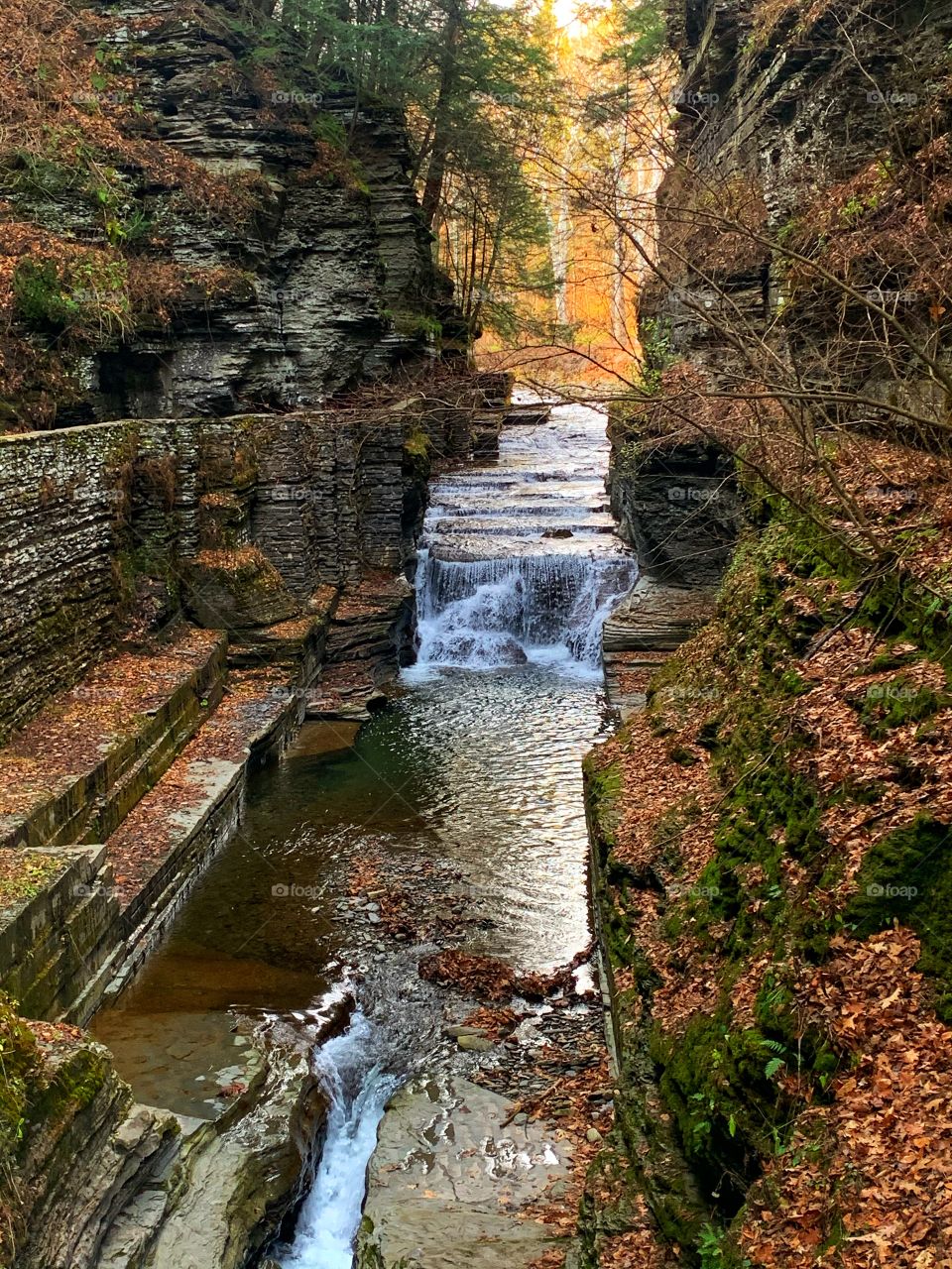 Robert H Treman State Park