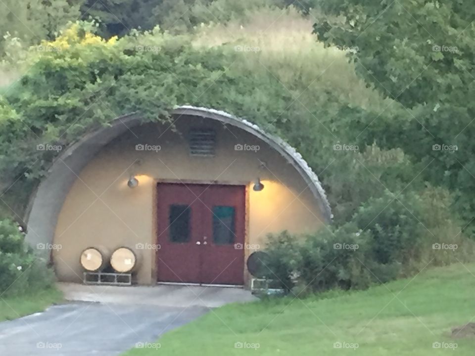 Wine Cellar. Wine Cellar at Black Star Farms, Suttons Bay, MI