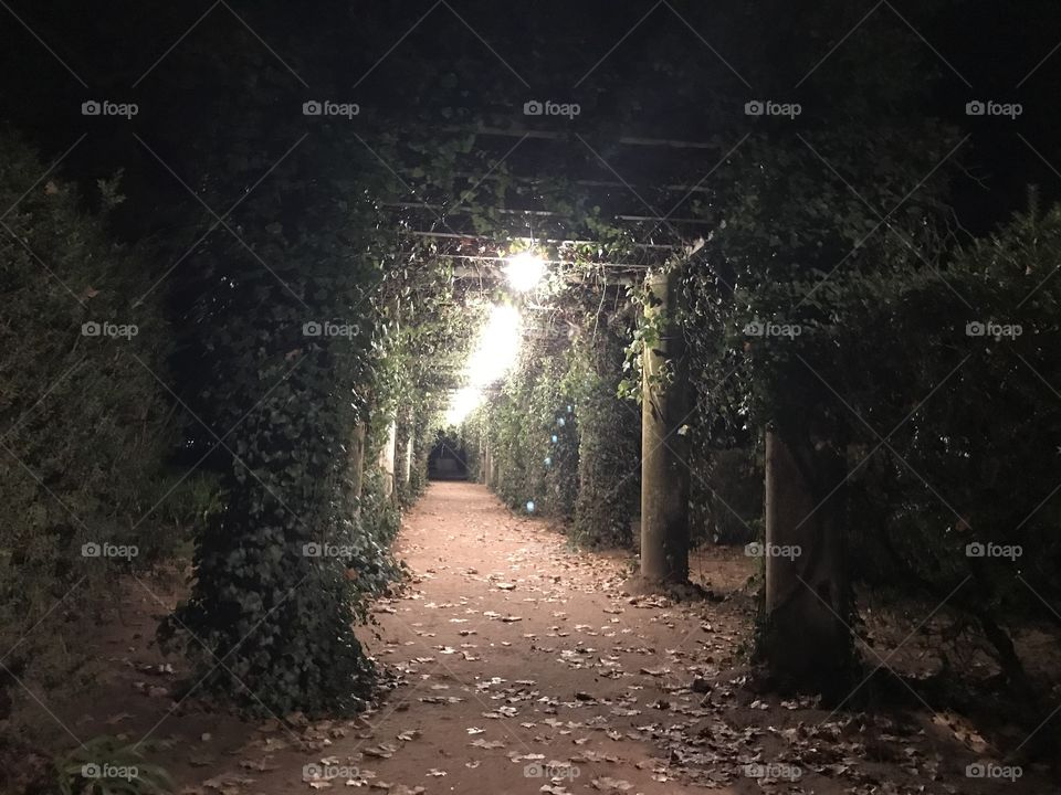 Parque Caldas da Rainha 