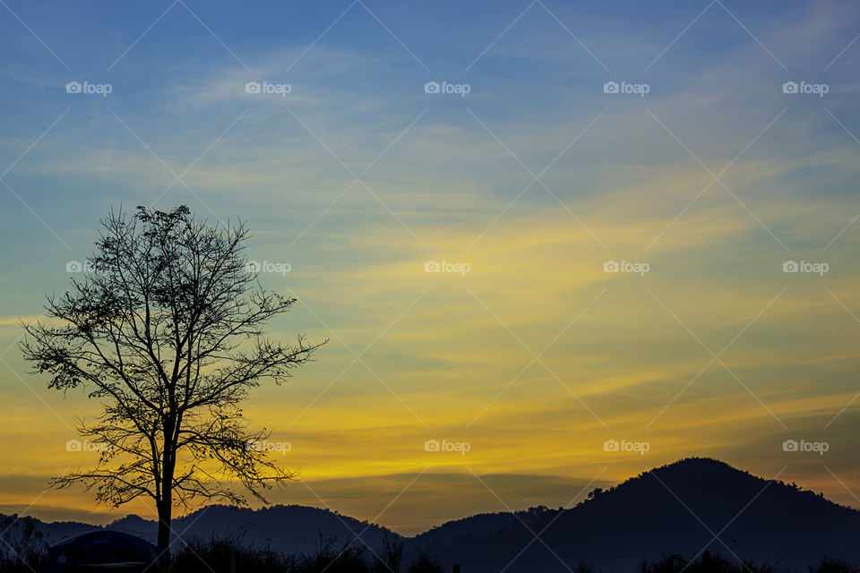 The morning sun light behind the mountains and the tree.