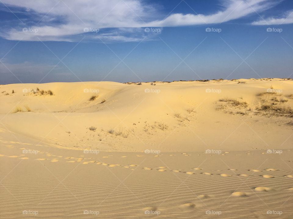 Sand dunes