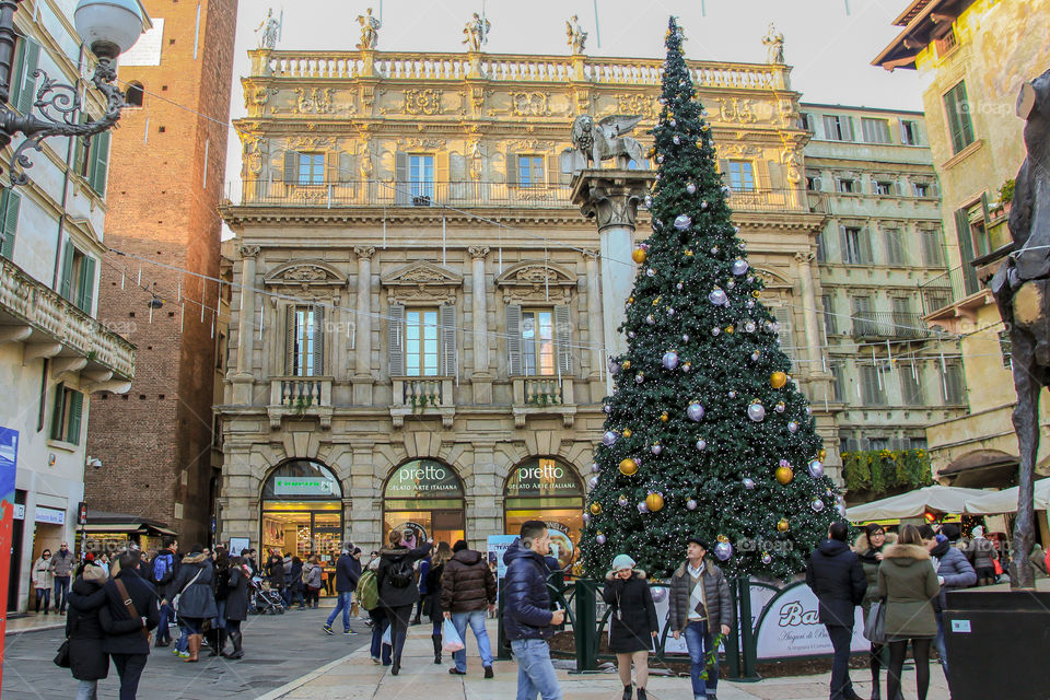 Christmas tree in Verona Italy
