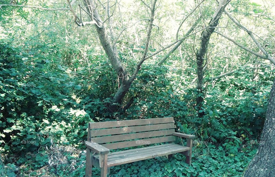 park bench