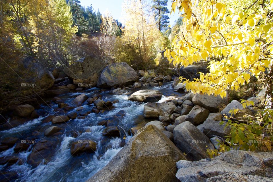 Carson River Fall