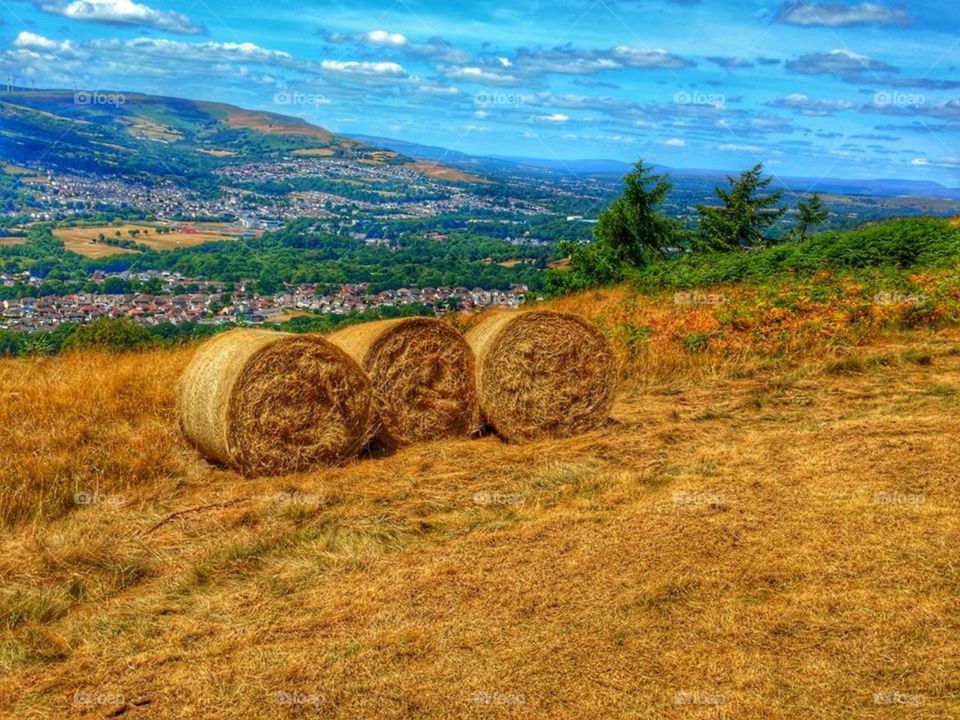 Hay bales, Cwmbach mountain, Aberdare, South Wales (July 2018)