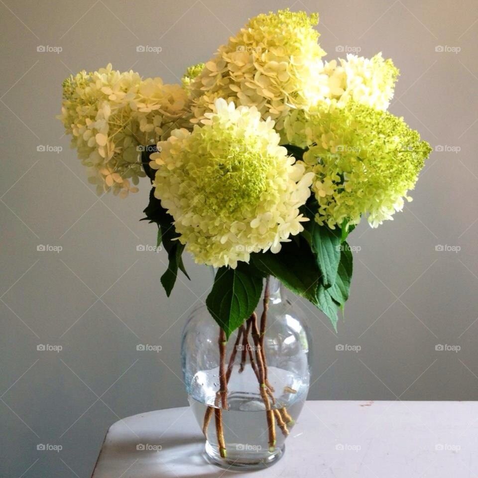 Limelight Hydrangea Bouquet