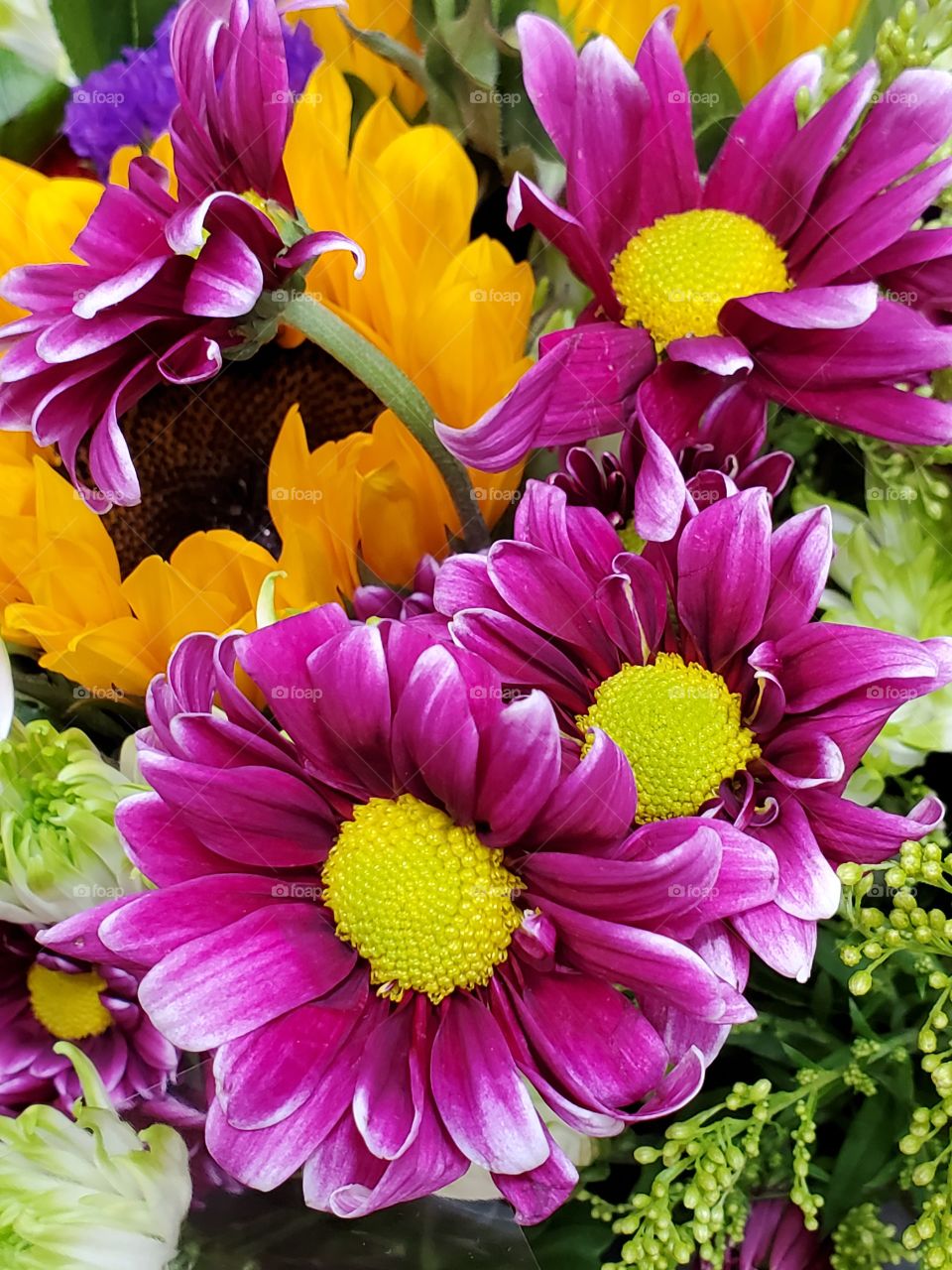 Colorful flowers that shouted out to me to stop and take their picture!