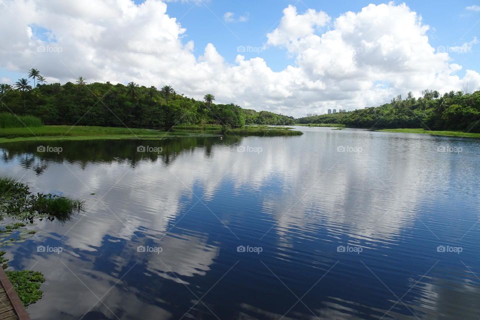 Nice Day beautiful river