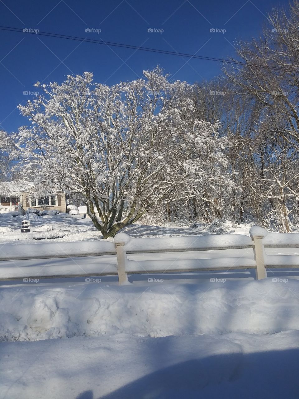 Connecticut winter