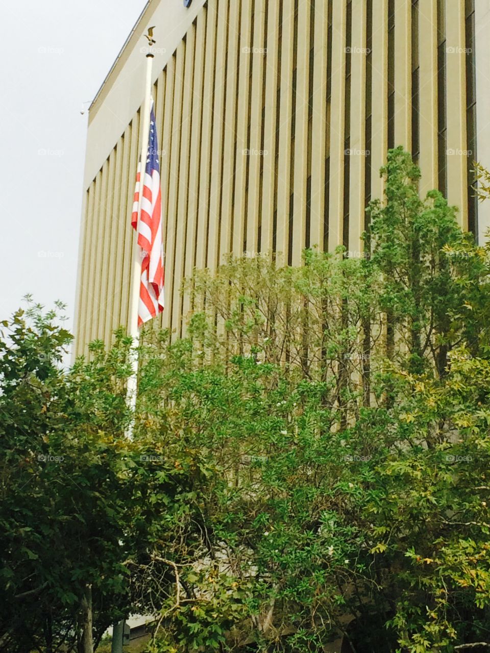 Building and flag