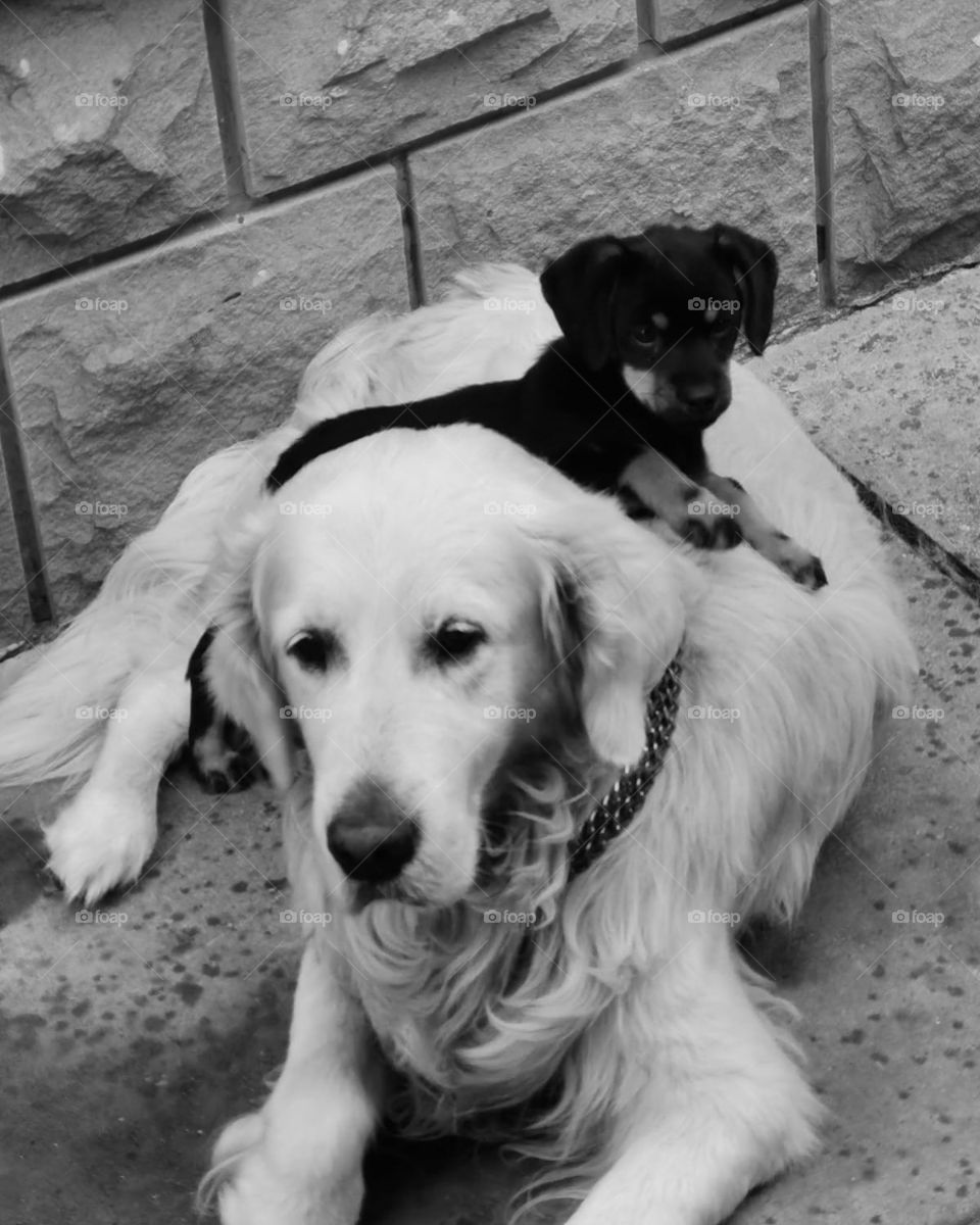 Black and white❤️