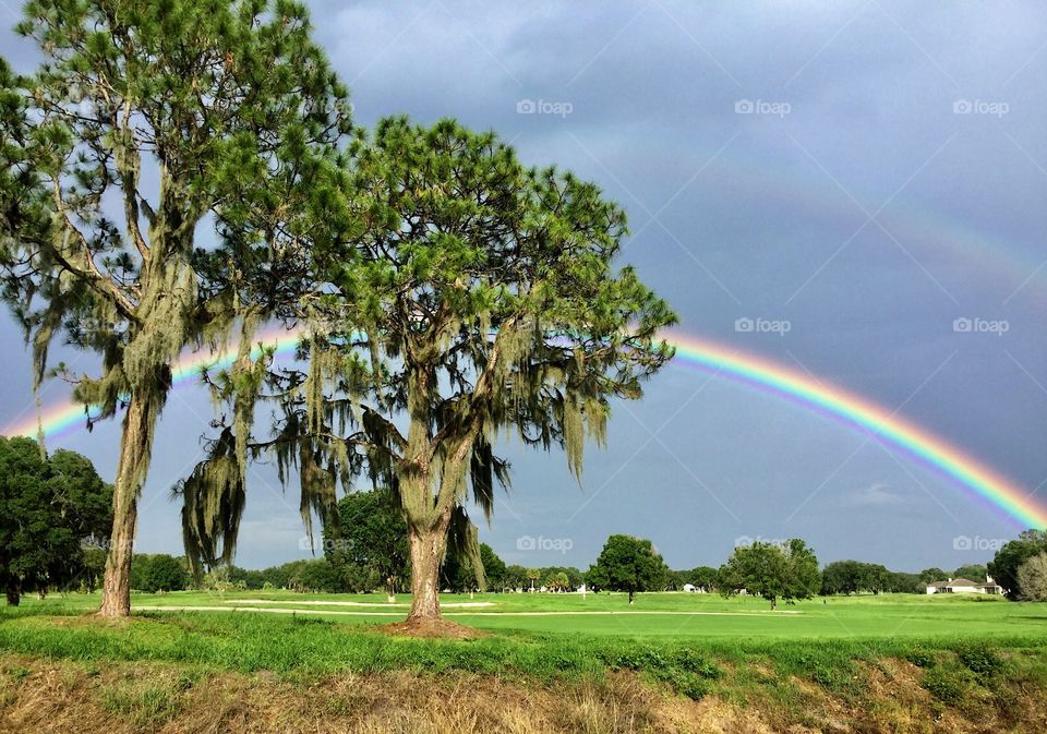 There's a rainbow always after the rain 