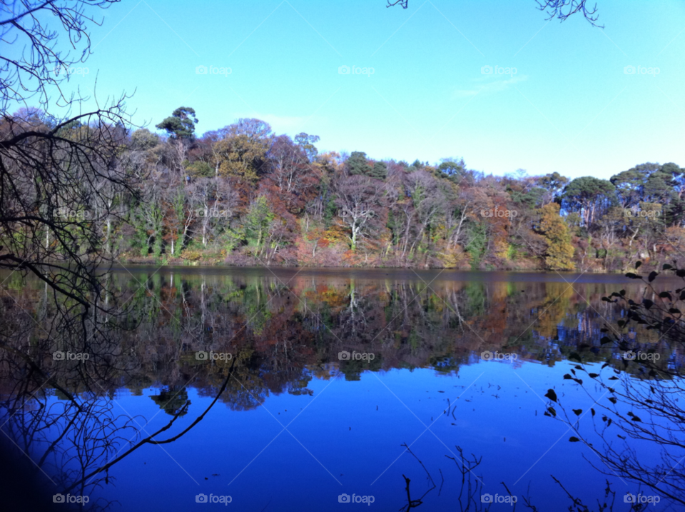 culzean castle trees autumn reflection by 123smaller
