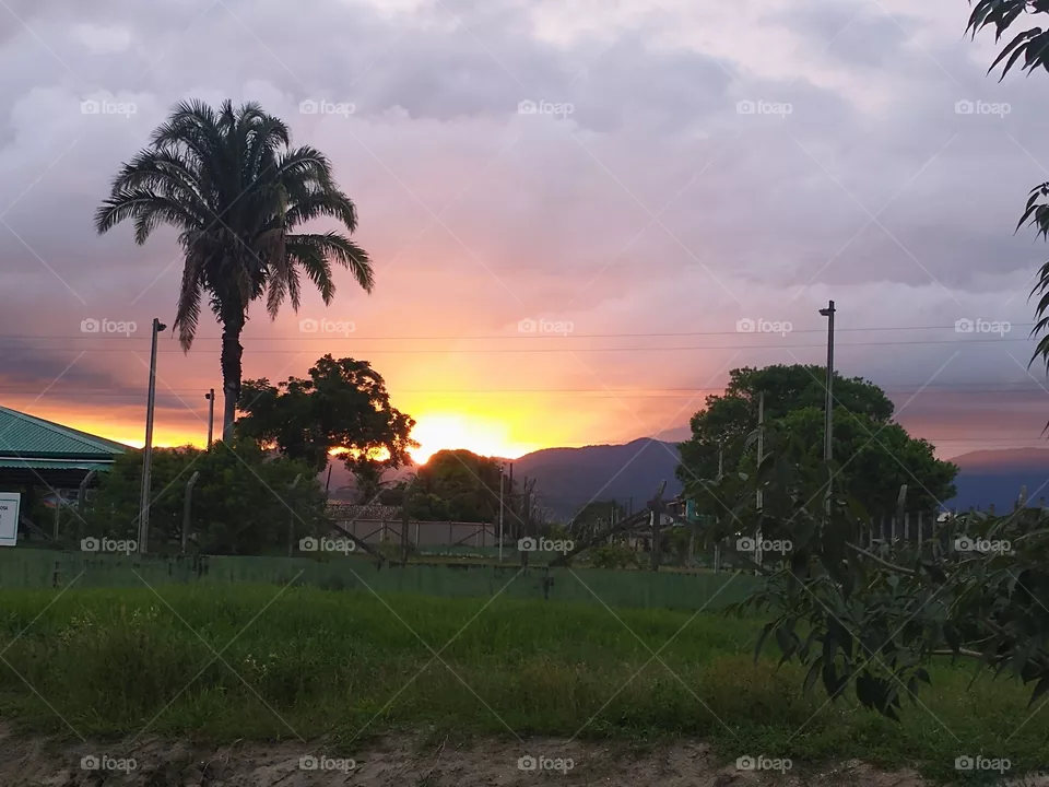 Quintal