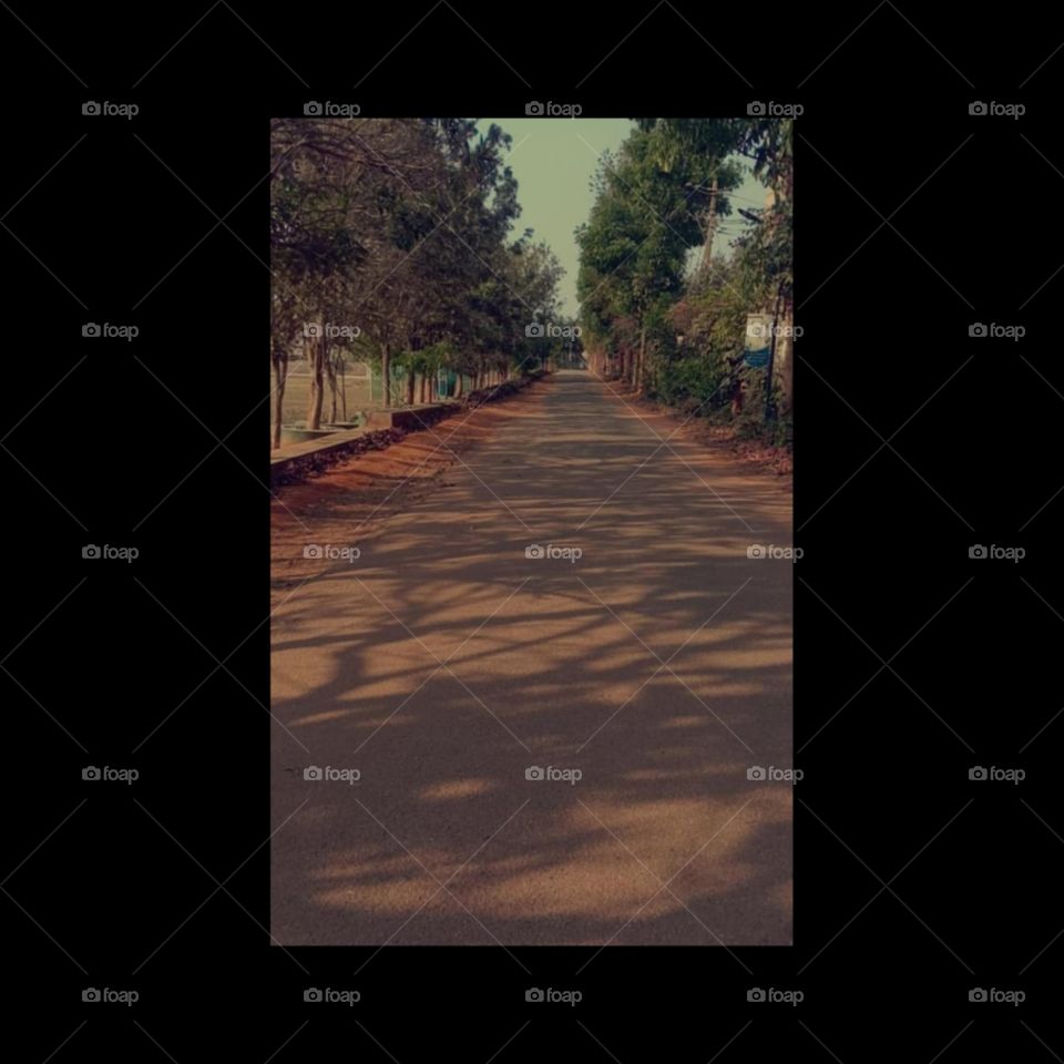 A beautiful Evening Walk!!!