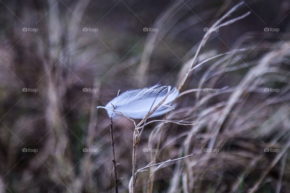 Catched by the wind