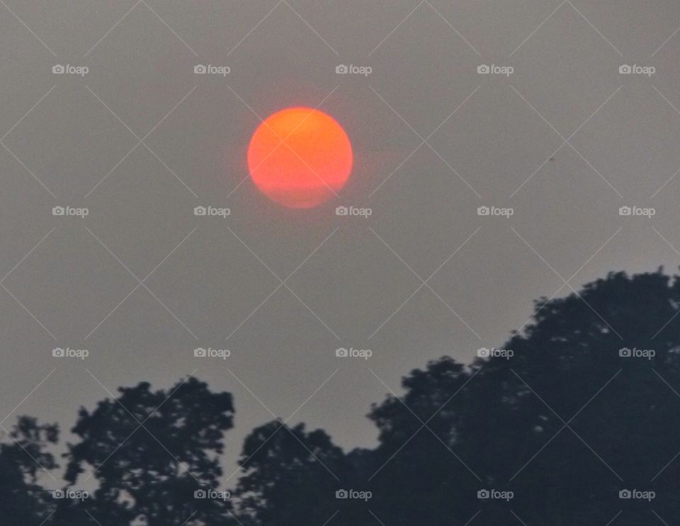 Smokey sun. Smoke in the air making the sun look red.