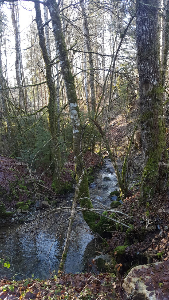 A sunny day in mountain