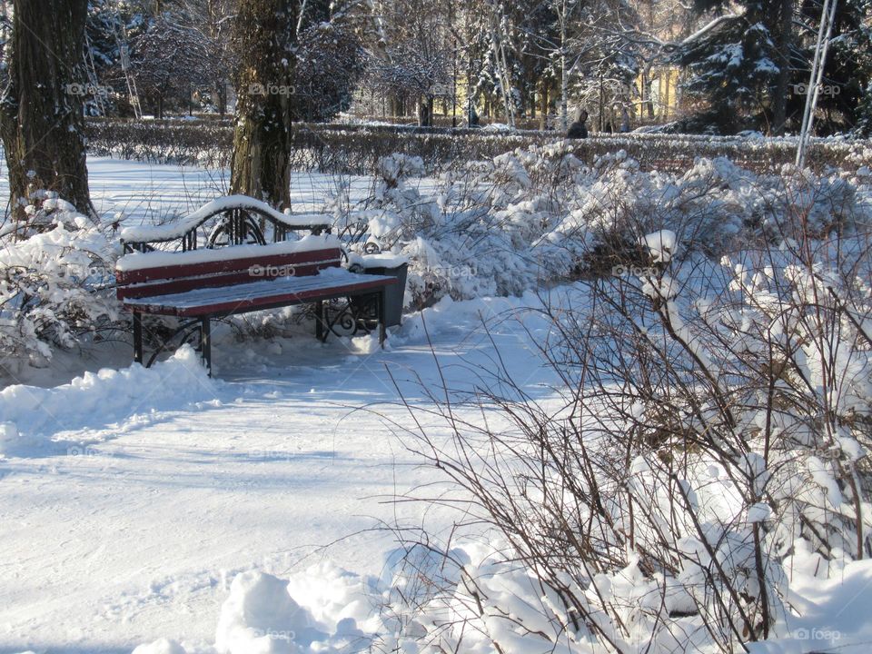sunny winter day in the city, walk in the city park, benches in the snow