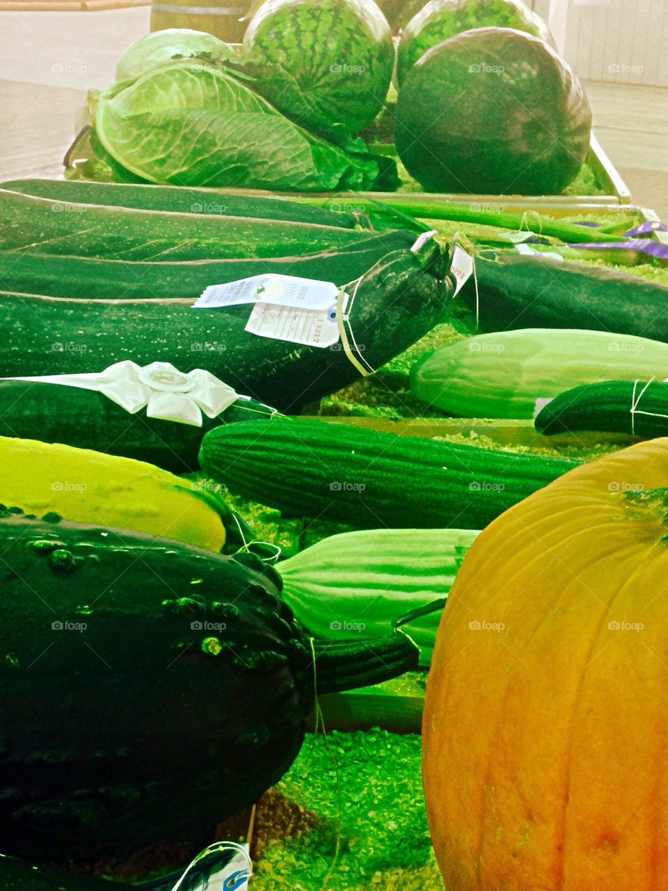 Cucumbers 