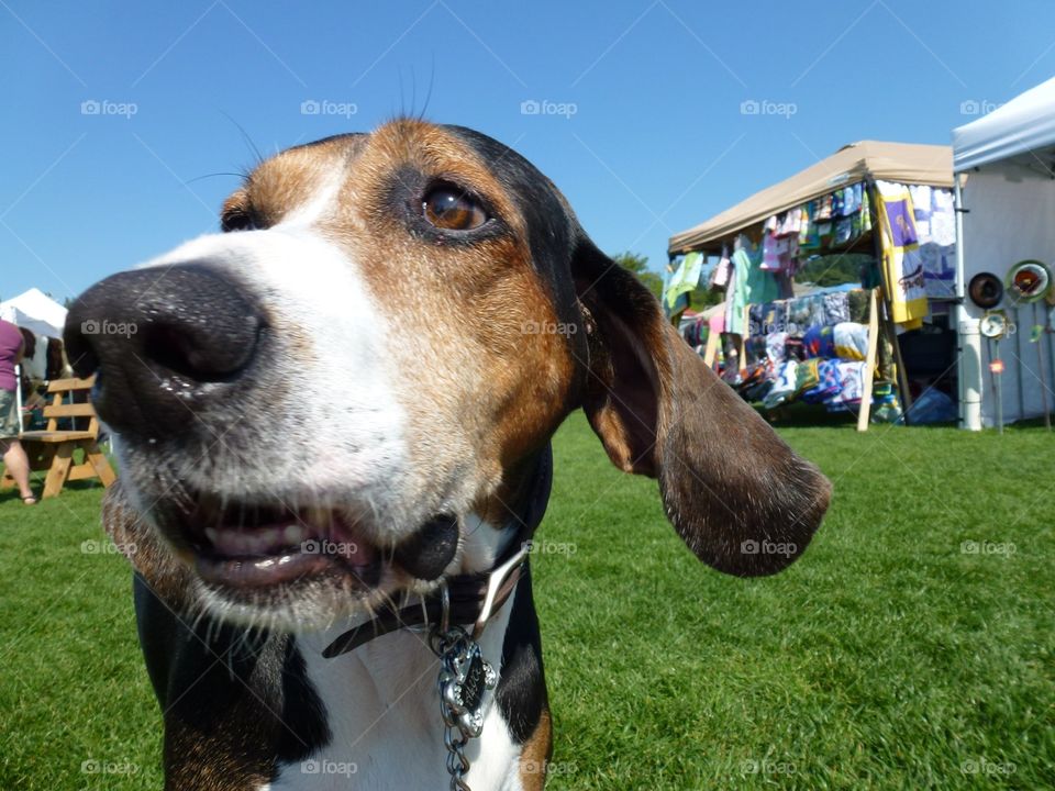 Fun times. Best day at the farmers market with my buddy