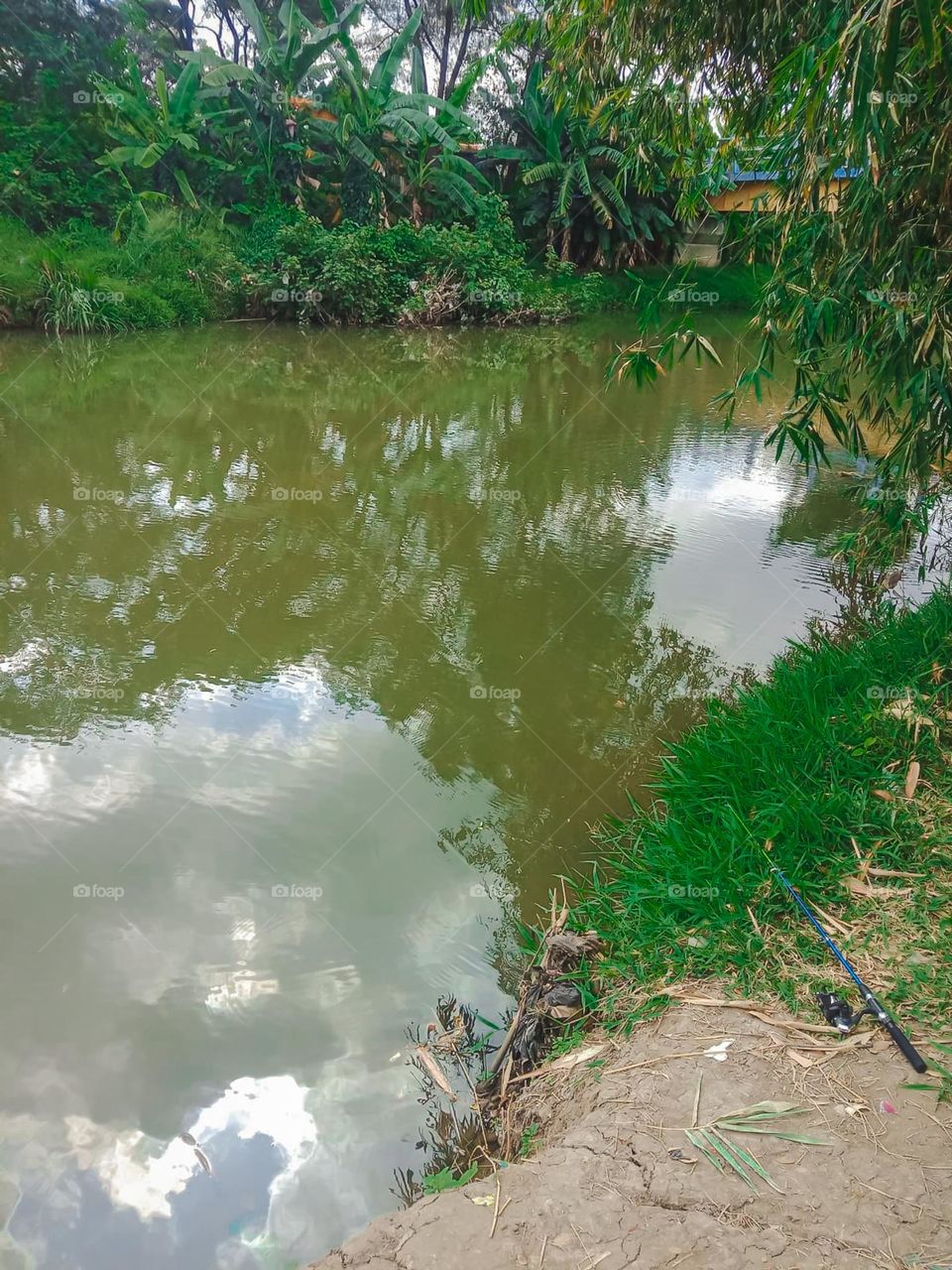 River with green leaves