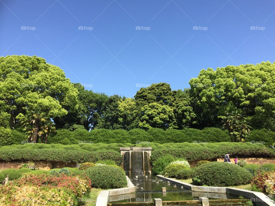Botanical garden. 京都の植物園、小さな滝と植物達