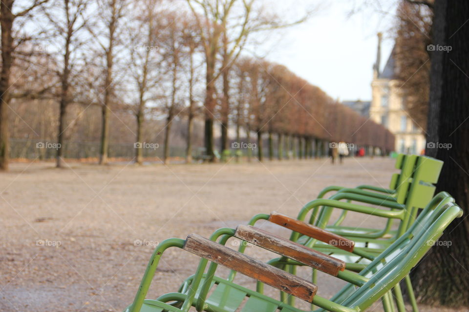 Autumn in the park