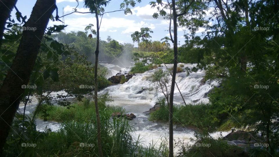 Cascatas. Rio, cachoeiras. Natureza, matas, águas.