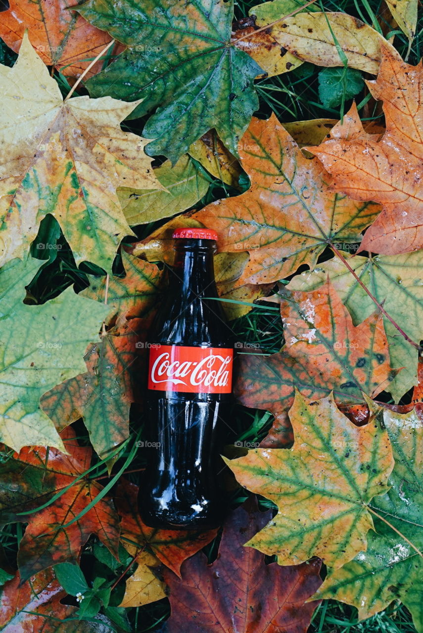 coca cola fall image