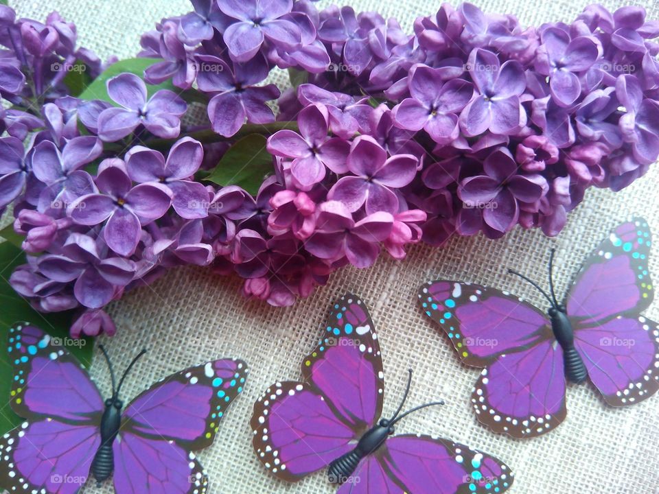 High angle view of artificial butterfly with flowers