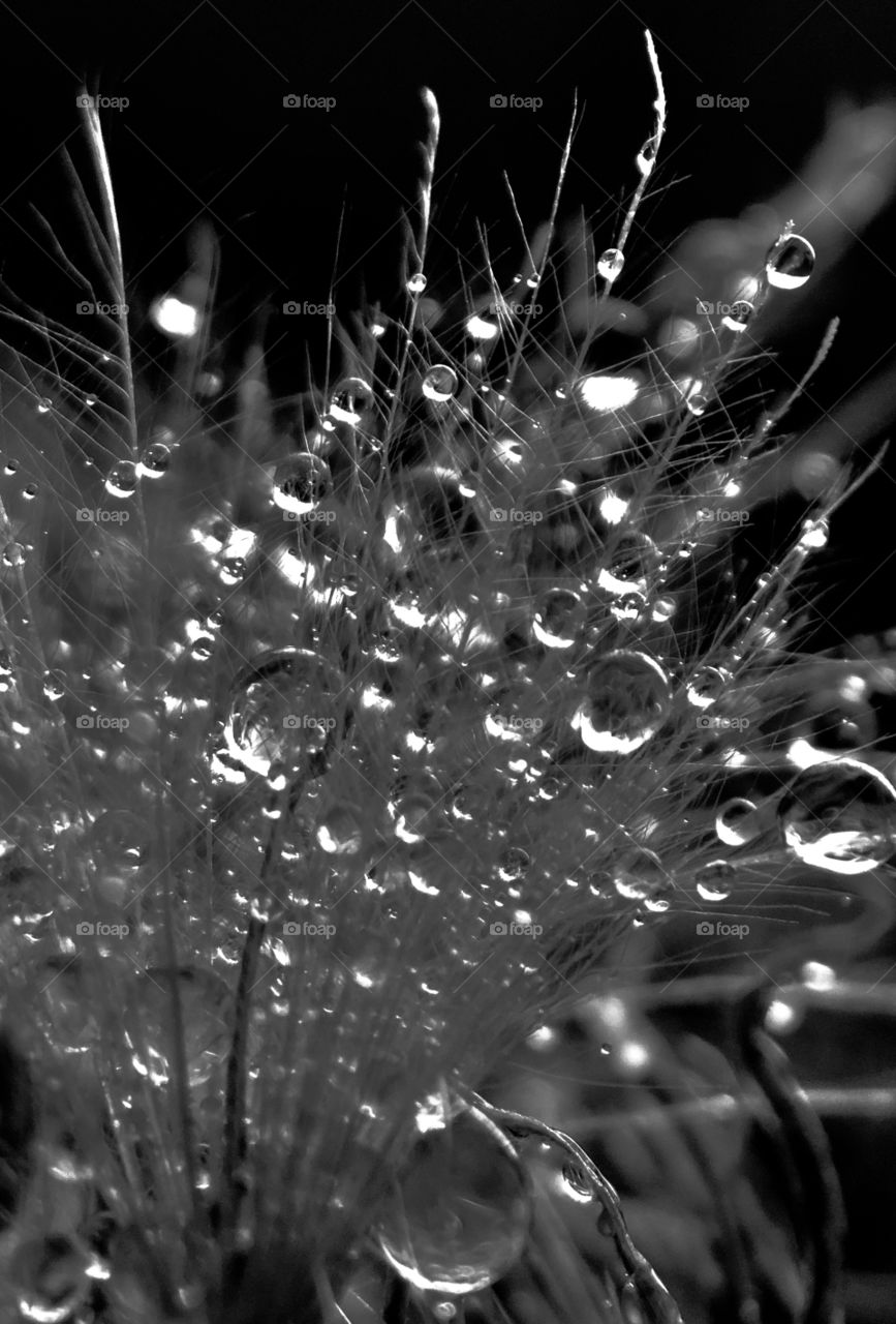 Drops macro 