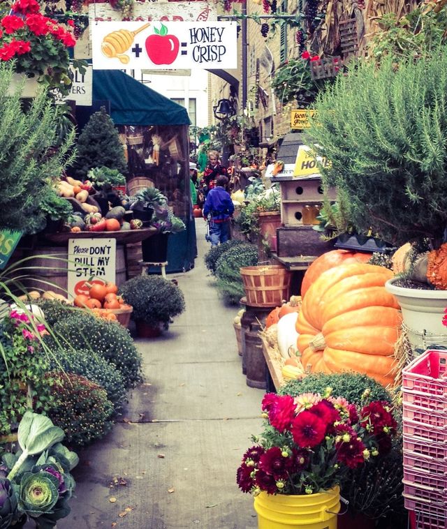 Outdoor Market
