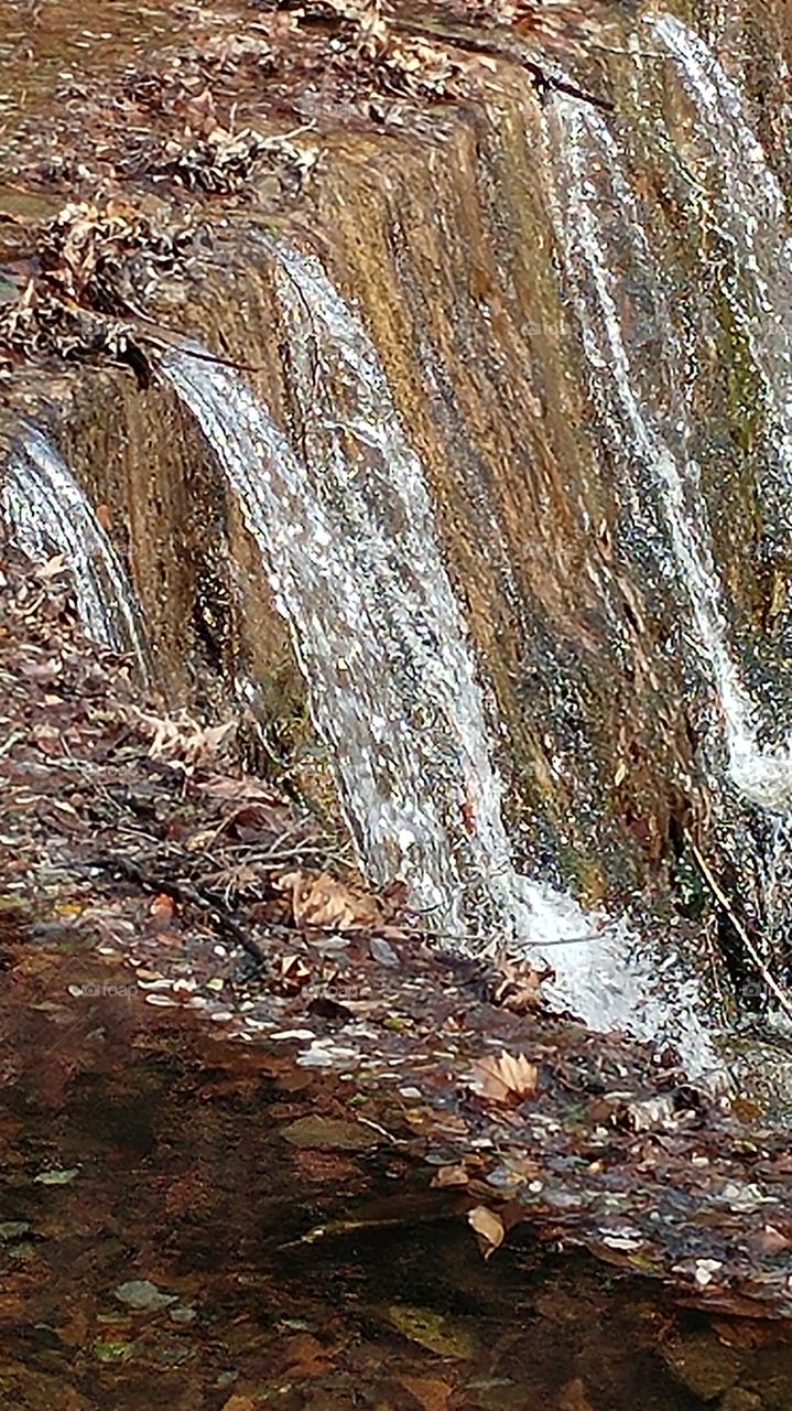 Nature, No Person, Wood, Water, Fall