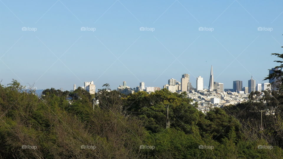 SF Cityscape