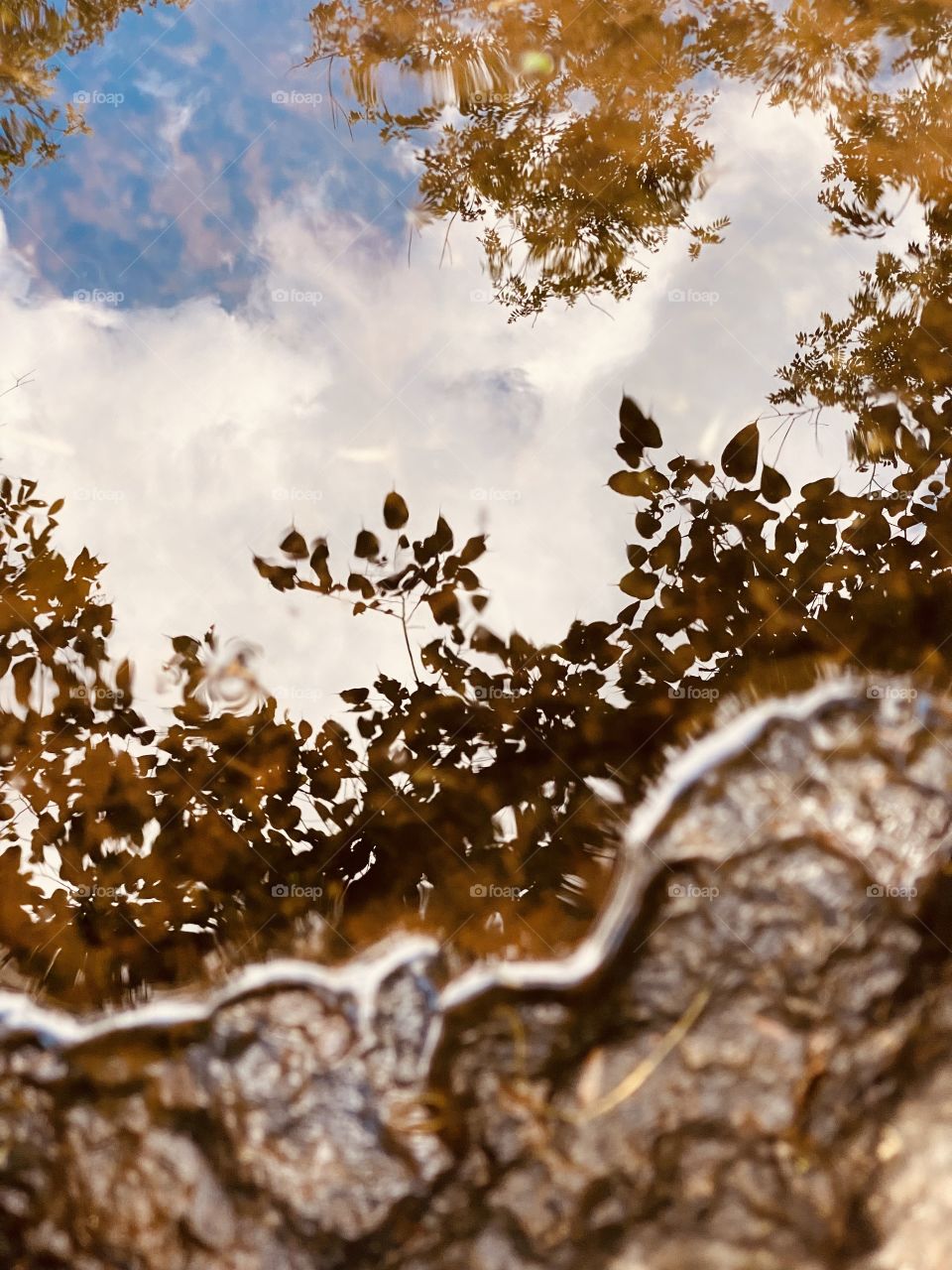 In our own mirror, we can see the truth of the soul. 🍂