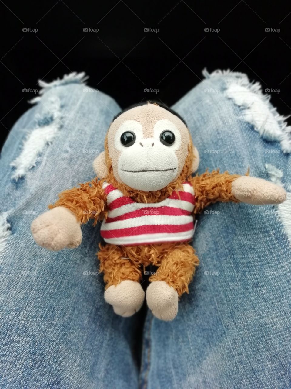 Catch the little monkey and snap.