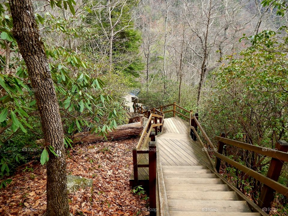wooden stairway to Upper whitewater falls viewing platform
