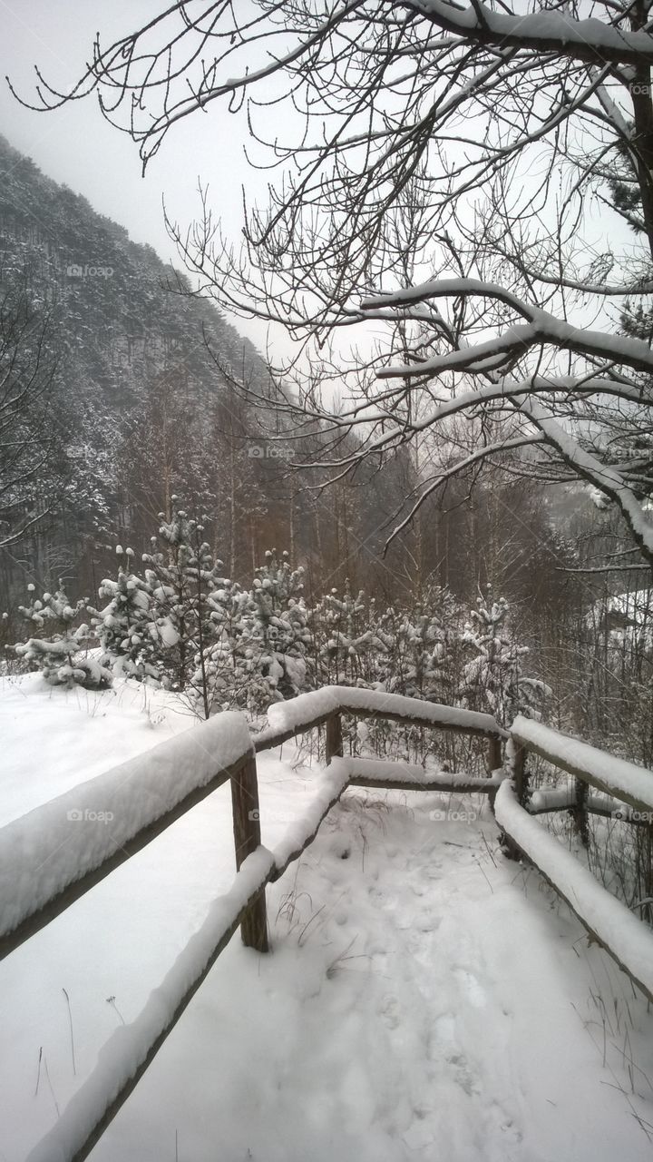 Winter in the mountains. Austria winter in a small village Puchberg ab Schneeberg