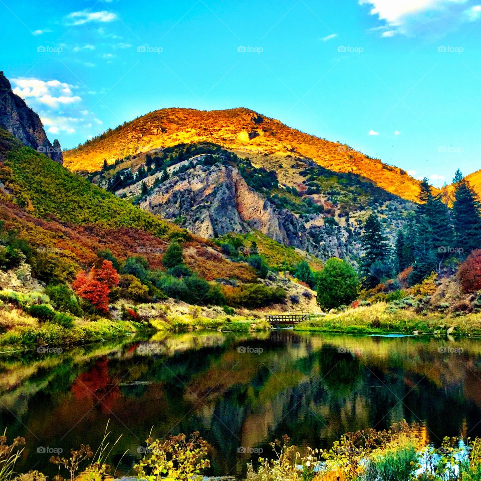 Mountains and trees in autumn