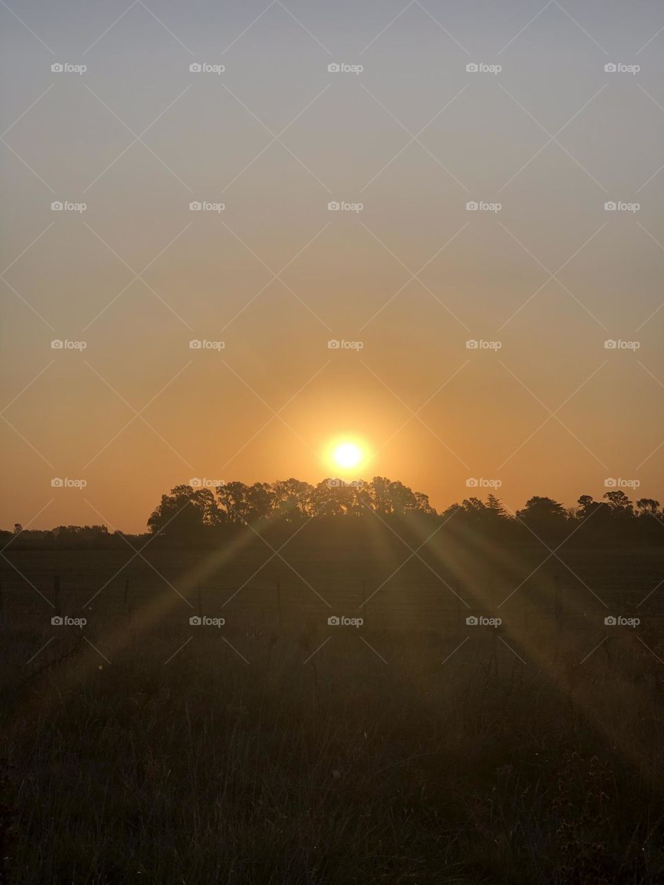 Sol Atardecer campo Reflejos paz