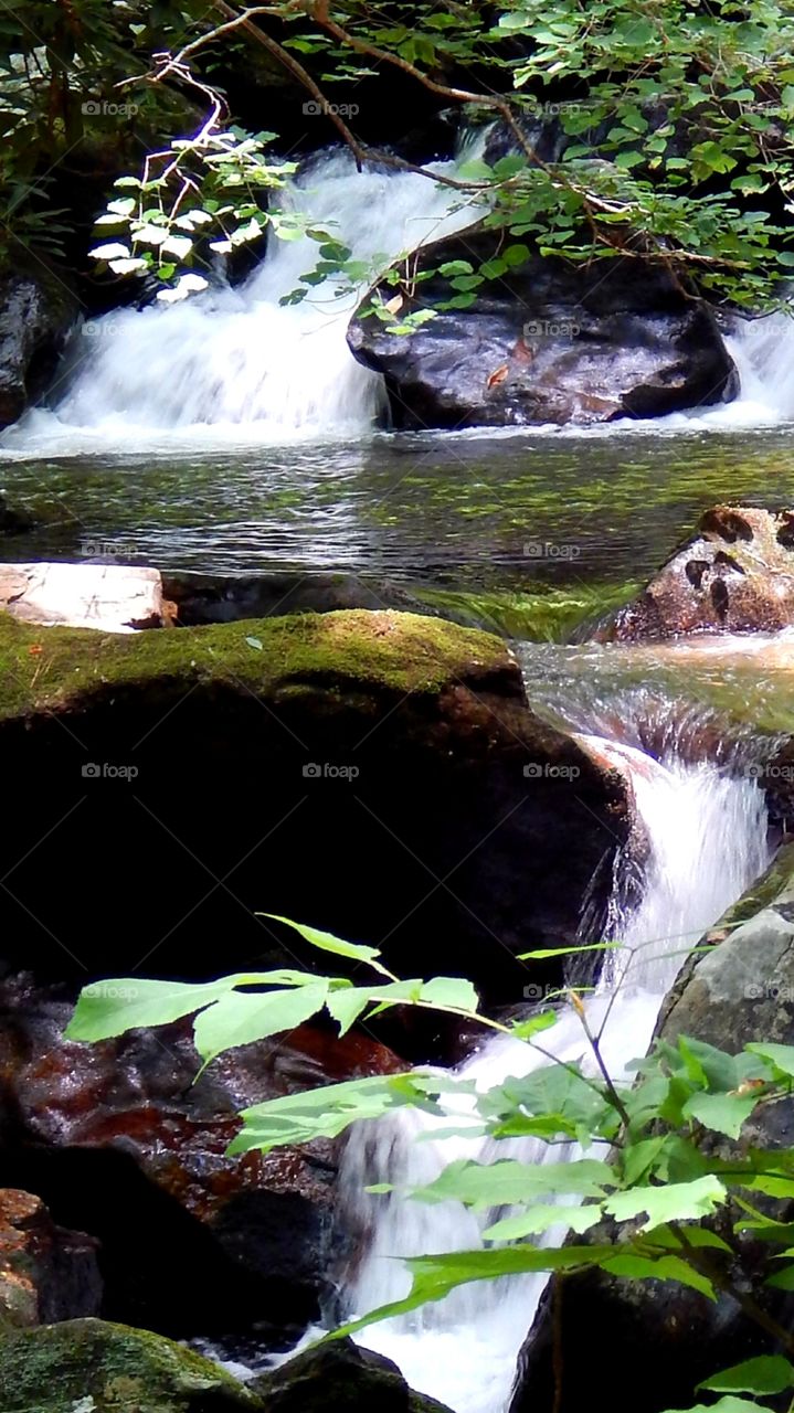 A Beautiful North Georgia Mountain Stream