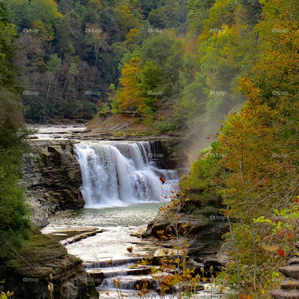 Fall slowly approaching as the leaves have started to turn and the temps have started to fall. The lower falls at Letchworth St Park in Upstate NY is a beautiful place to visit .