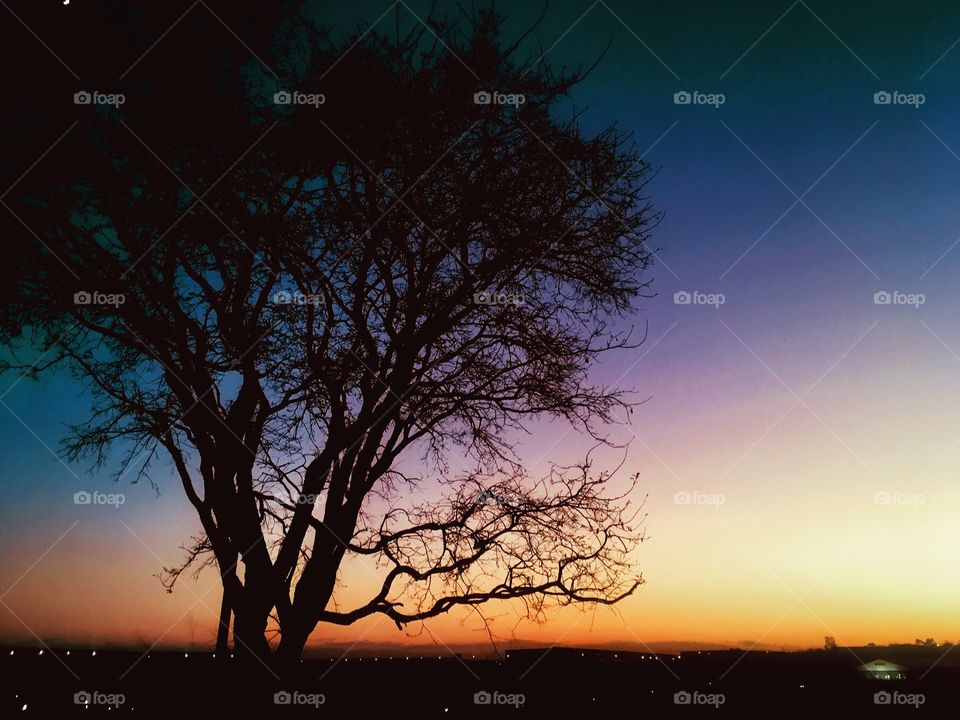 🌅Desperte, Jundiaí.
Que a segunda-feira possa valer a pena!
🍃
#sol #sun #sky #céu #photo #nature #morning #alvorada #natureza #horizonte #fotografia #pictureoftheday #paisagem #inspiração #amanhecer #mobgraphy #mobgrafia 